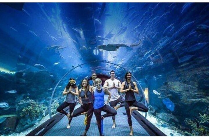 Explore the breathtaking underwater world at Dubai Mall Aquarium where diverse marine life surrounds you all while enjoying unique experiences with friends or family in a stunning setting.